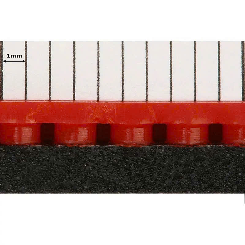 Mặt Vợt Bóng Bàn Xiom Vega X (Vega Ten) Chính Hãng - Độ Xoáy Vượt Trội - Phản Hồi Chính Xác - Chuẩn Topspin Hiện Đại